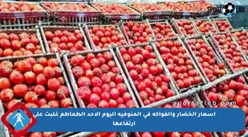 أسعار الخضار والفواكه في المنوفية اليوم الأحد الطماطم غلبت على ارتفاعها